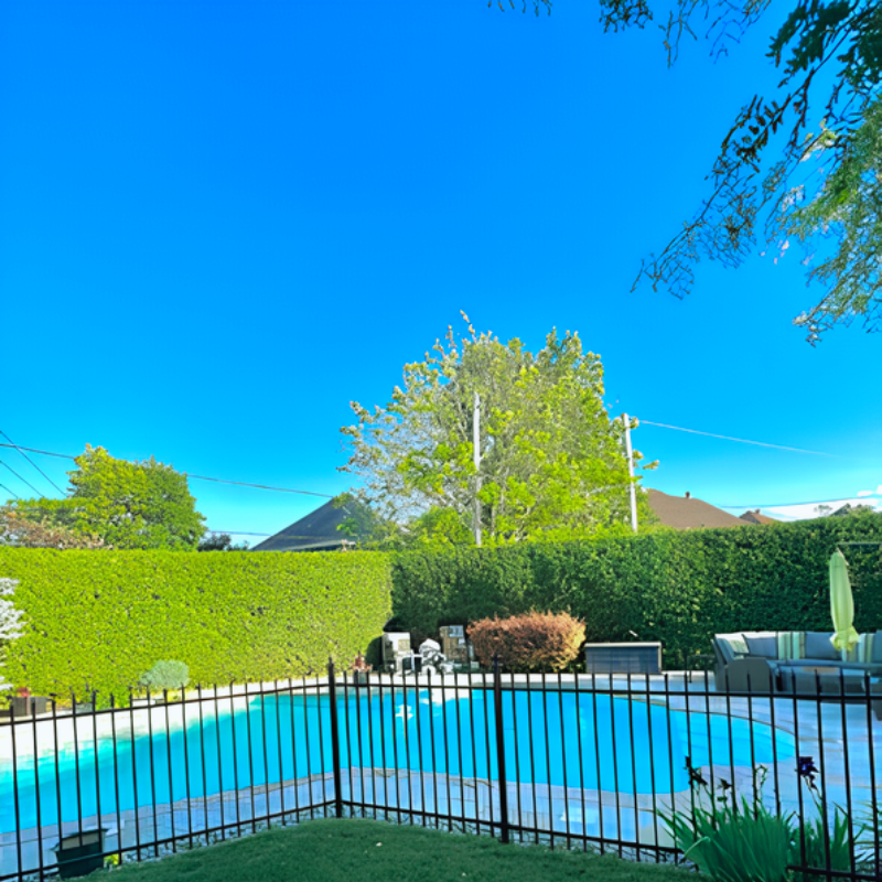 Haie de cèdre en arrière plan d'une piscine sous un grand soleil et un ciel bleu.