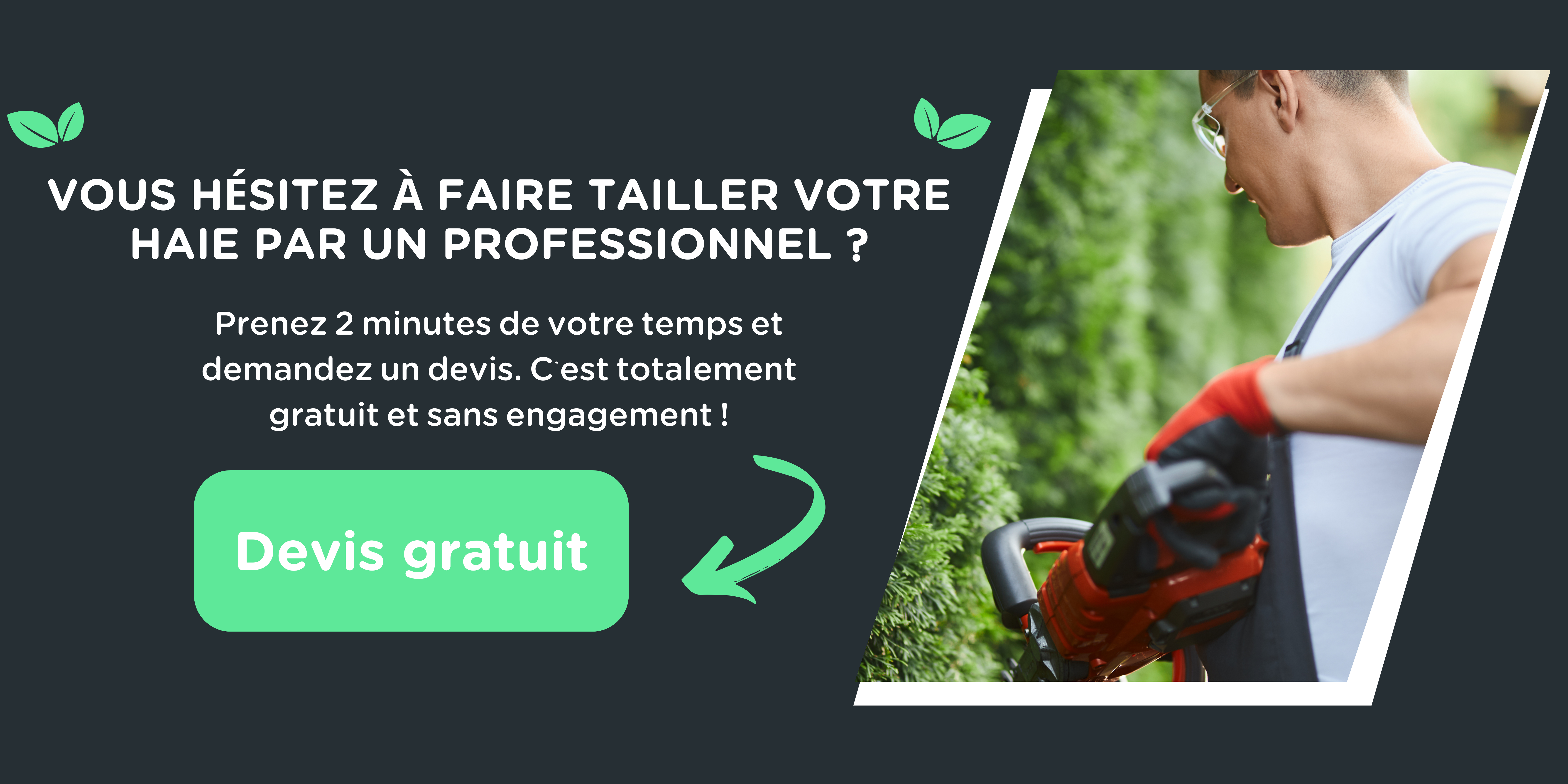 Proposition de devis pour une taille de haie par un professionnel et image d'un jardinier taillant une haie de sapin.